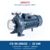 Bơm trục ngang Veratti CS50-250/22 22kW